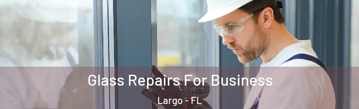  Glass Repairs For Business Largo - FL