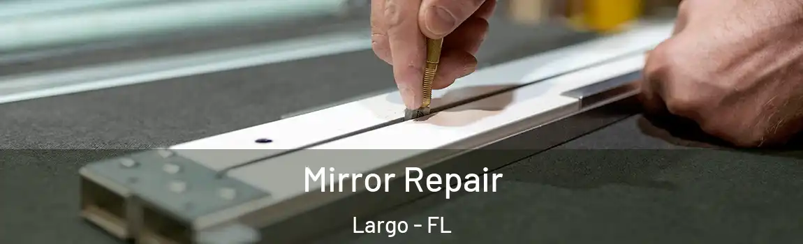  Mirror Repair Largo - FL