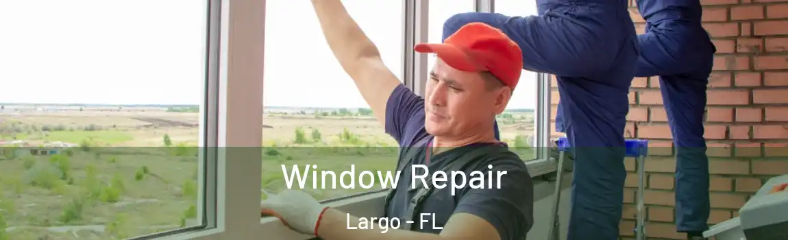 Window Repair Largo - FL